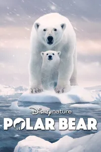 Polar Bear izle