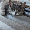 spanish94 adlı kullanıcı